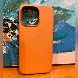 iPhone 13pro Apple leather case